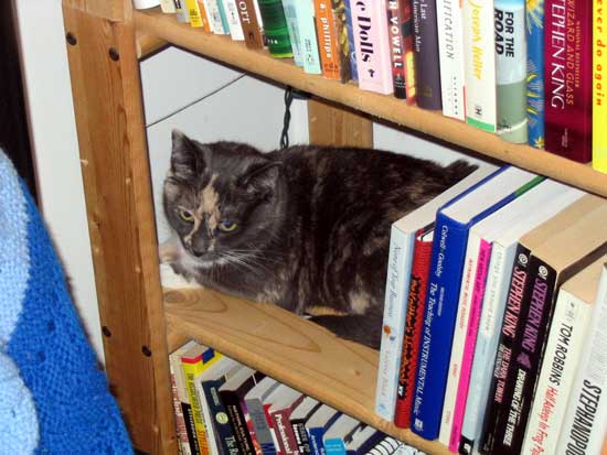 Celli bookend