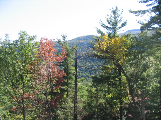 Fall color