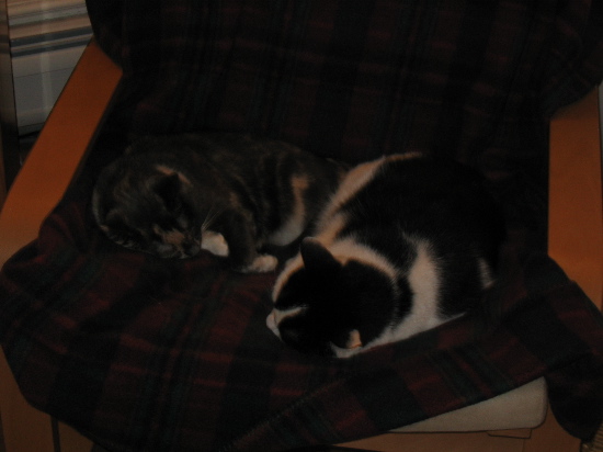 Getting along